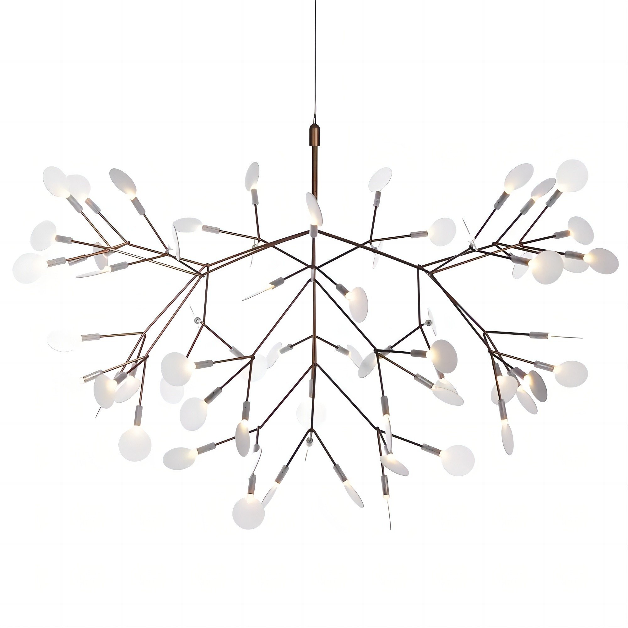 Heracleum Chandelier
