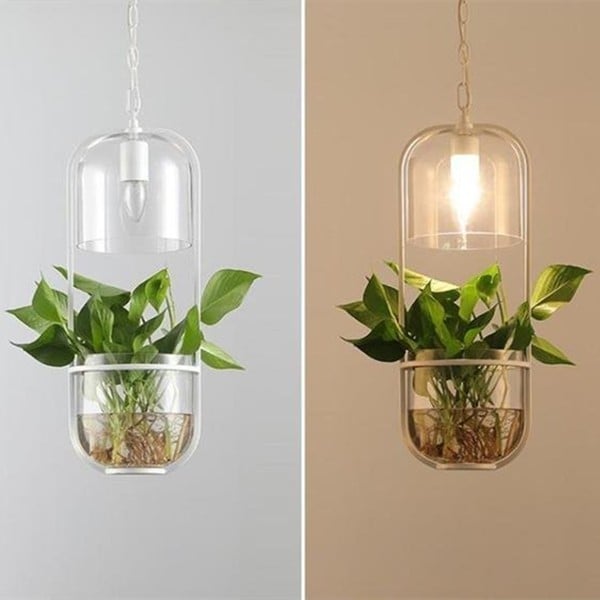 Water Plants Glass Pendant Light