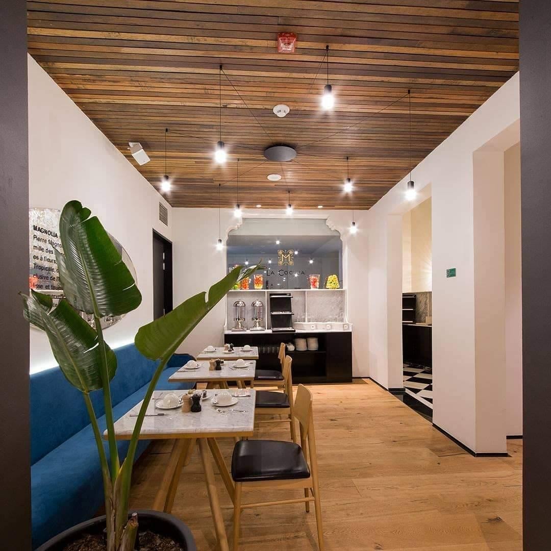 Wireflow Free Form Suspension Lamp