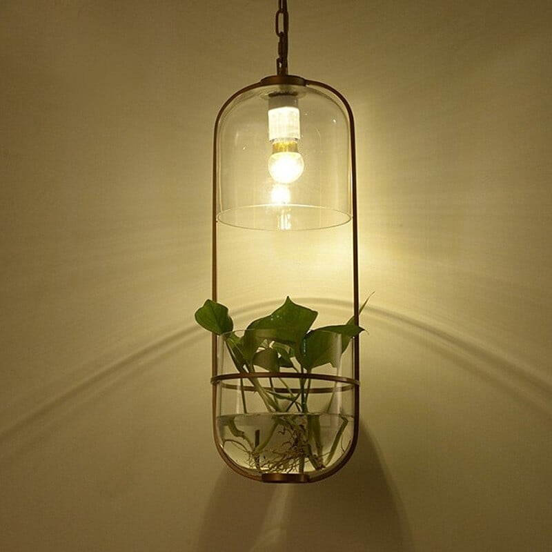 Water Plants Glass Pendant Light
