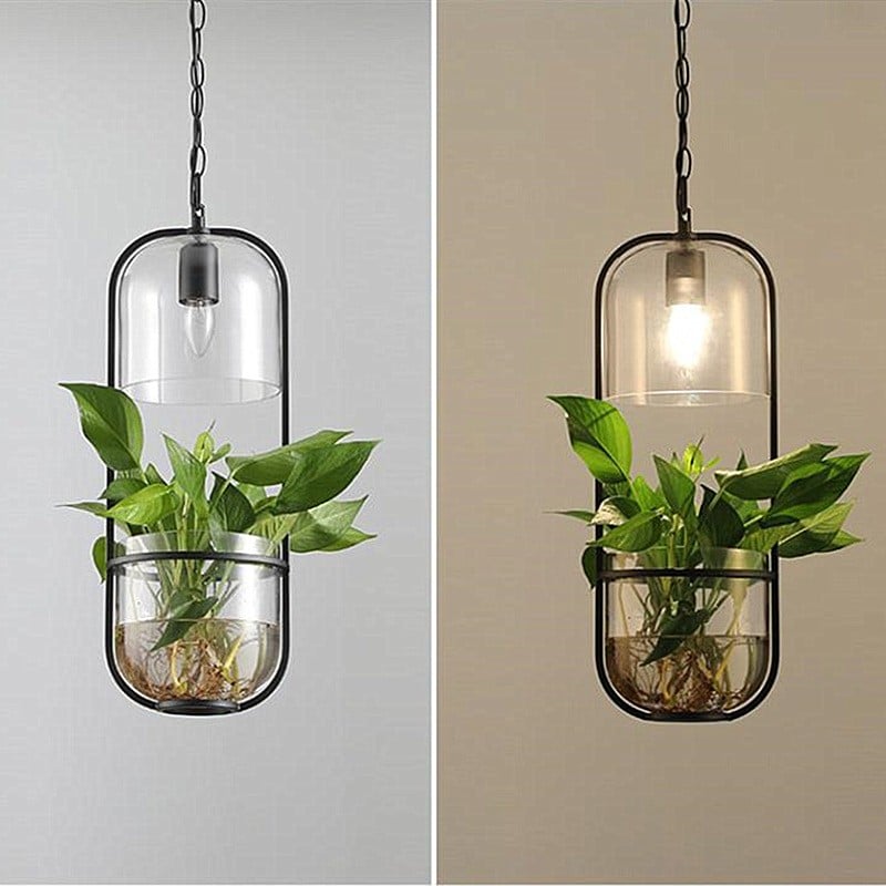 Water Plants Glass Pendant Light