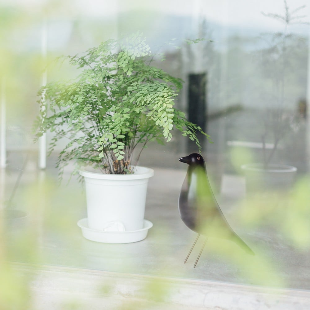 House Bird Ornaments