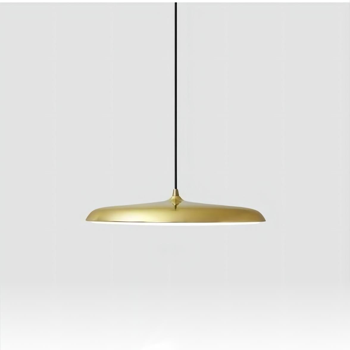 Artist Pendant Lamp