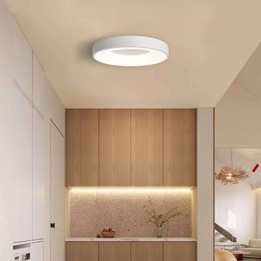 Platt LED Ceiling Lamp