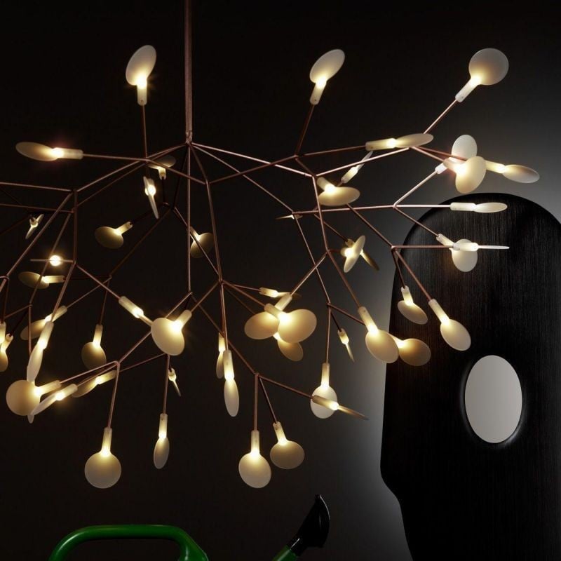 Heracleum Chandelier