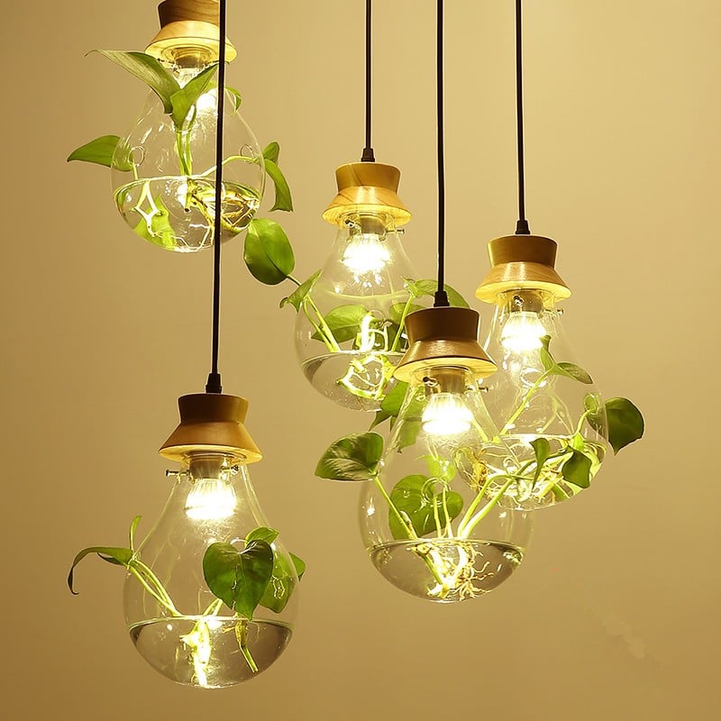 Hydroponic Plant Pendant Lamp