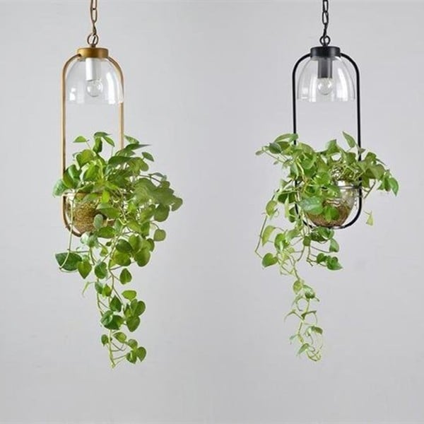 Water Plants Glass Pendant Light