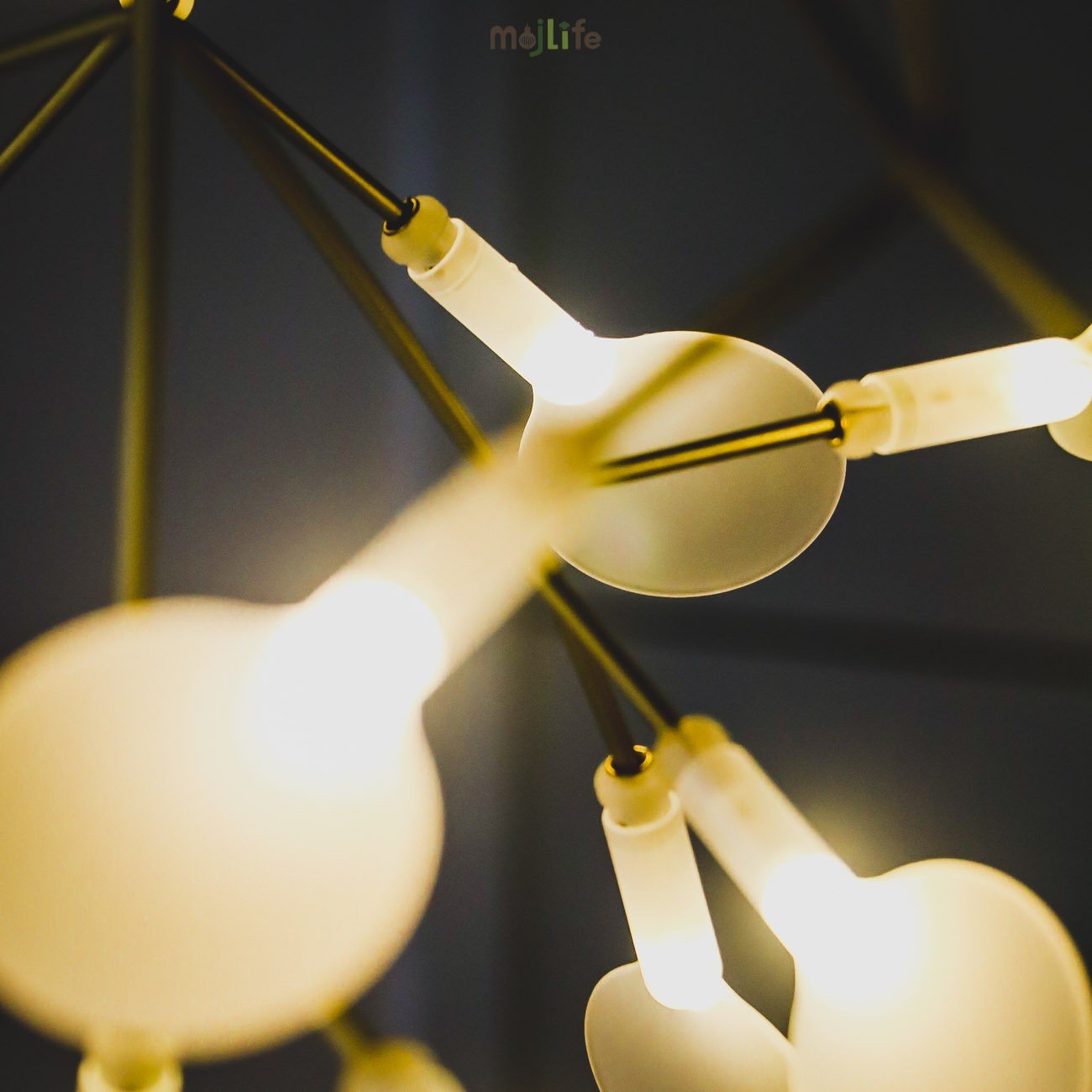 Heracleum Chandelier