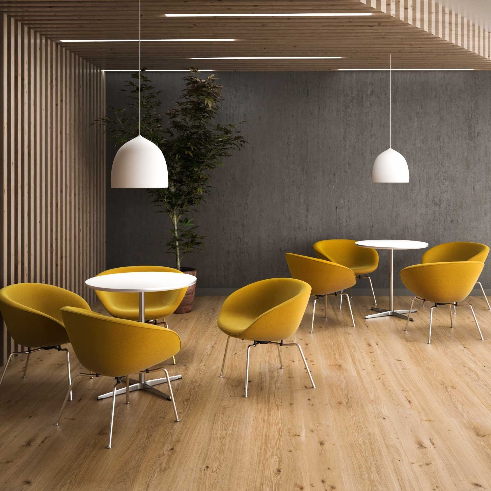 Suspence Pendant Light