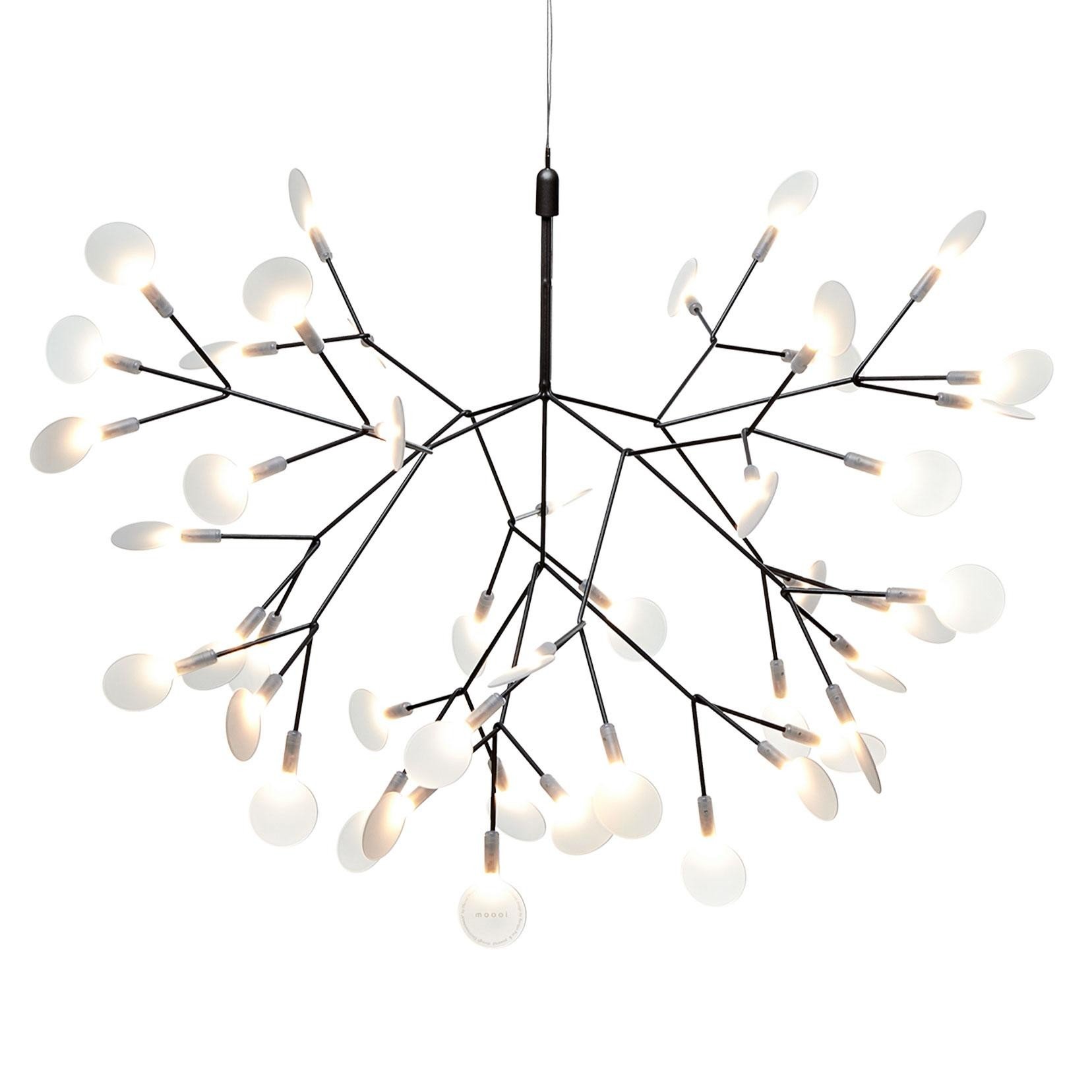 Heracleum Chandelier
