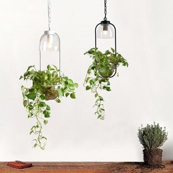 Water Plants Glass Pendant Light