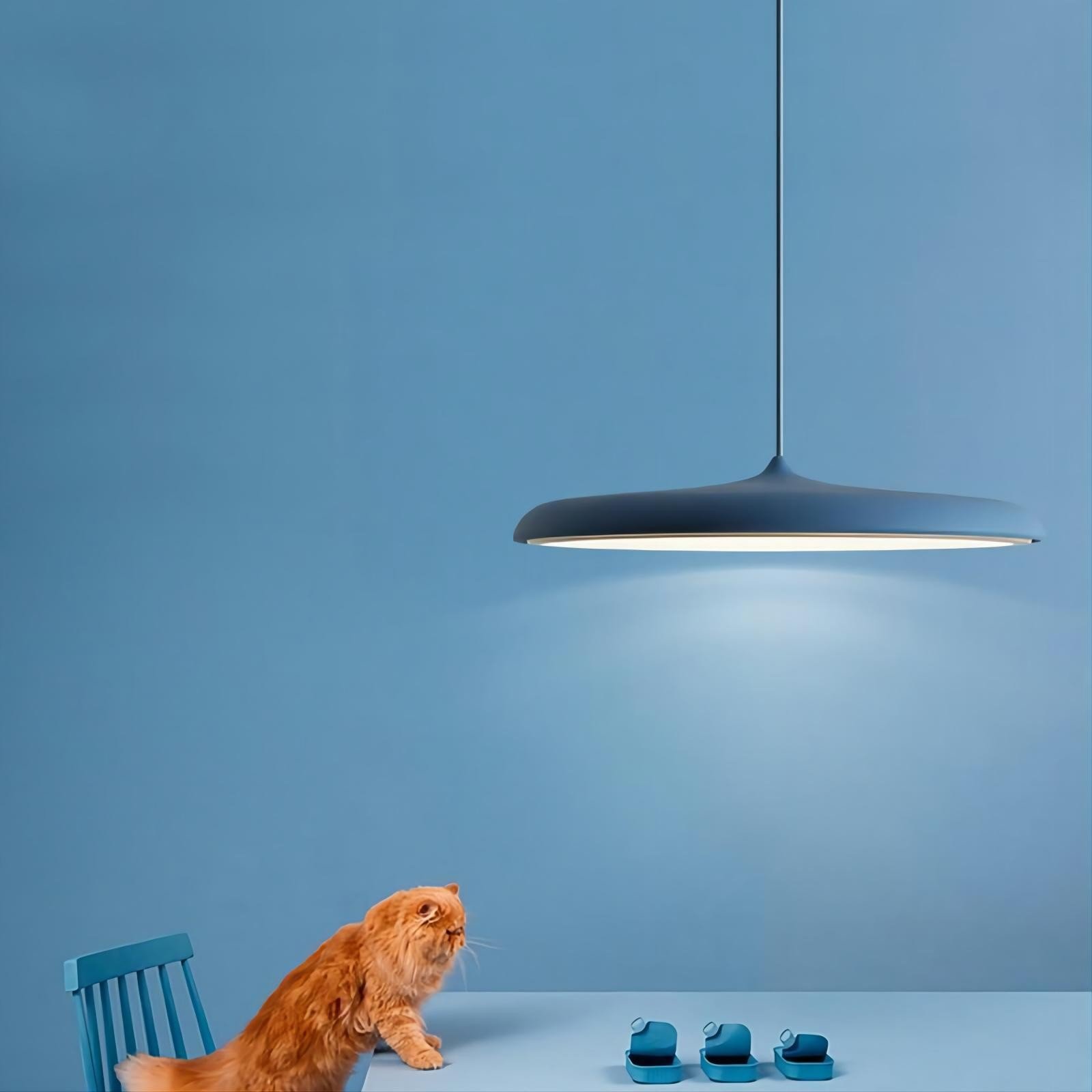 Artist Pendant Lamp