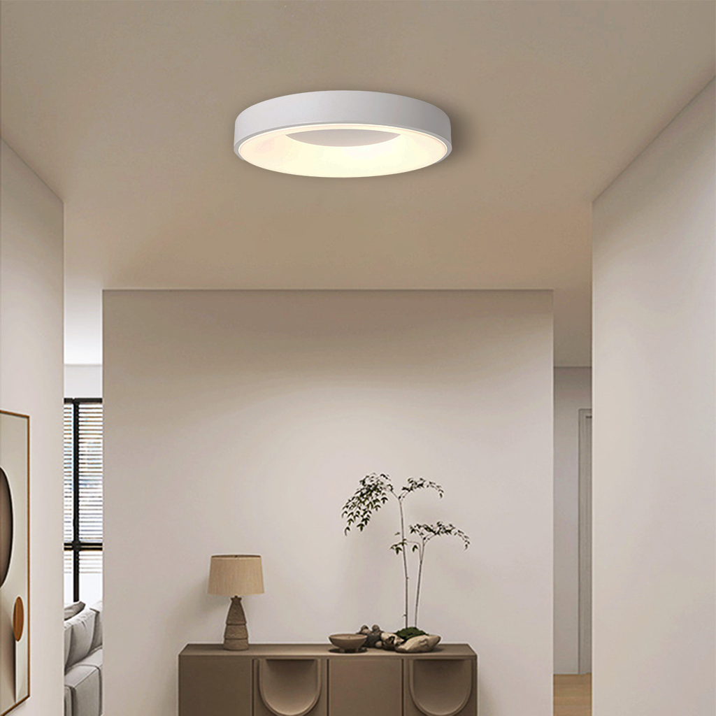 Platt LED Ceiling Lamp