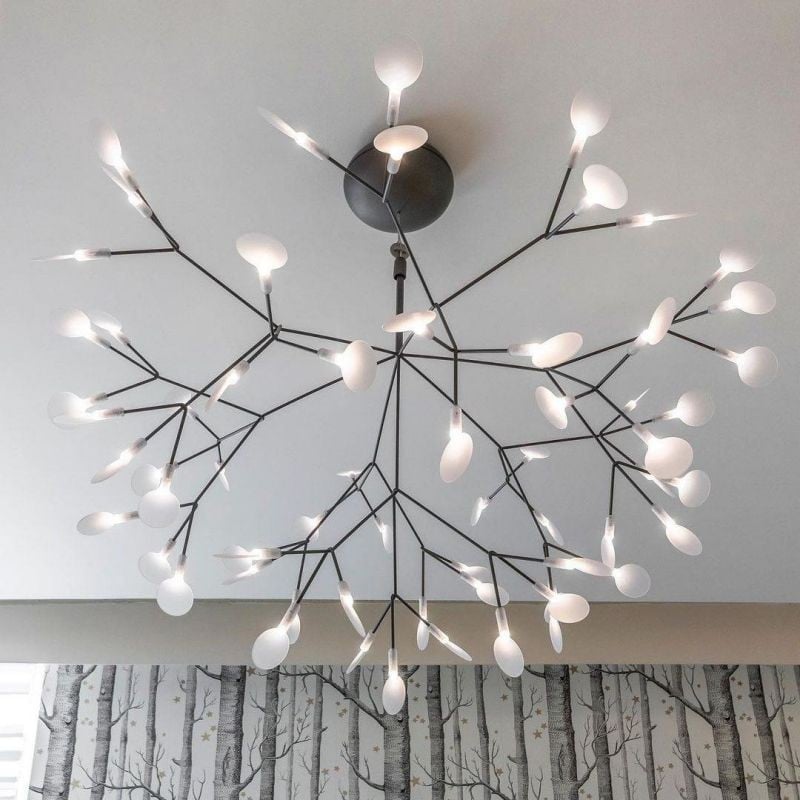 Heracleum Chandelier
