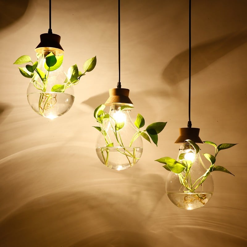 Hydroponic Plant Pendant Lamp