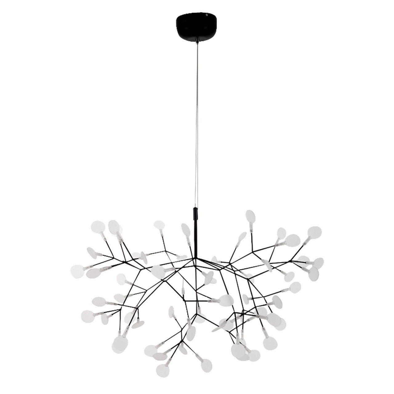 Heracleum Chandelier