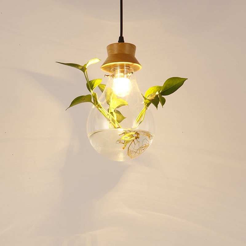 Hydroponic Plant Pendant Lamp
