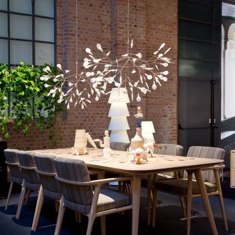 Heracleum Chandelier