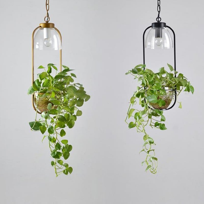 Water Plants Glass Pendant Light