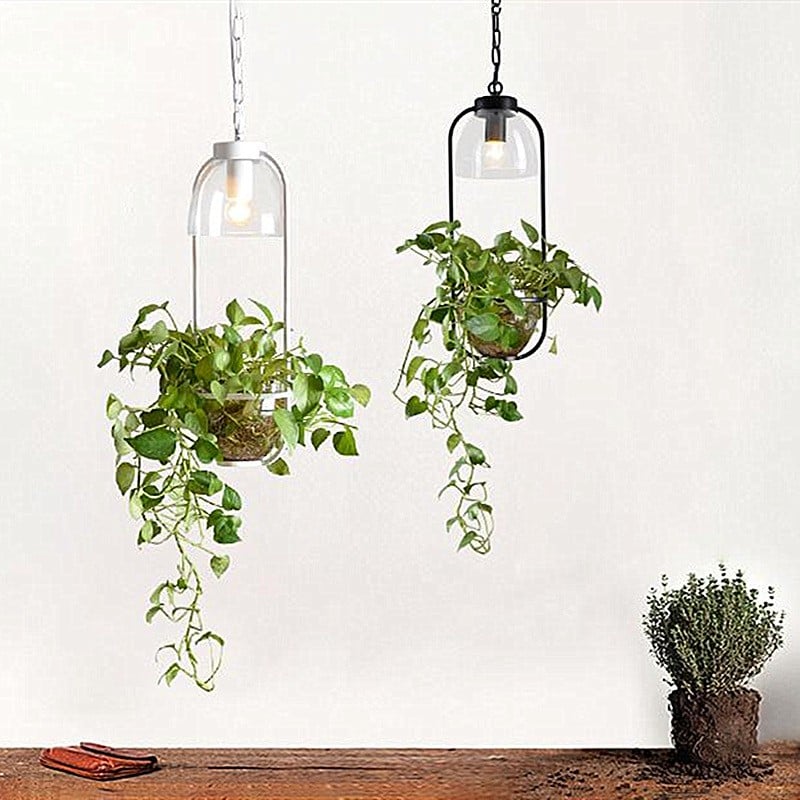 Water Plants Glass Pendant Light