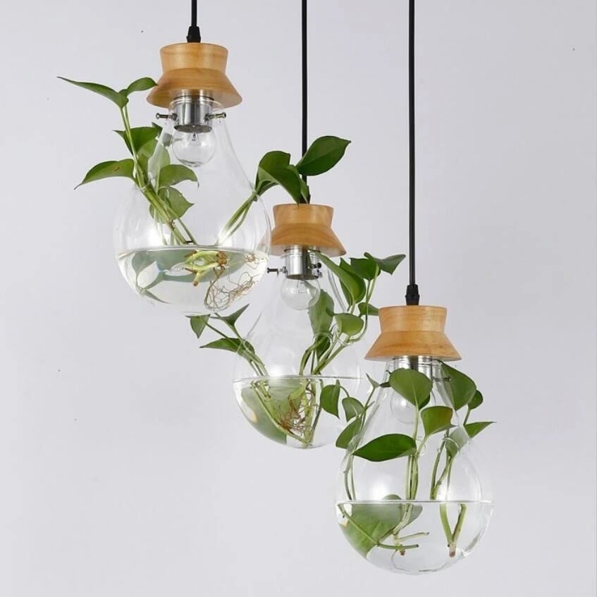 Hydroponic Plant Pendant Lamp