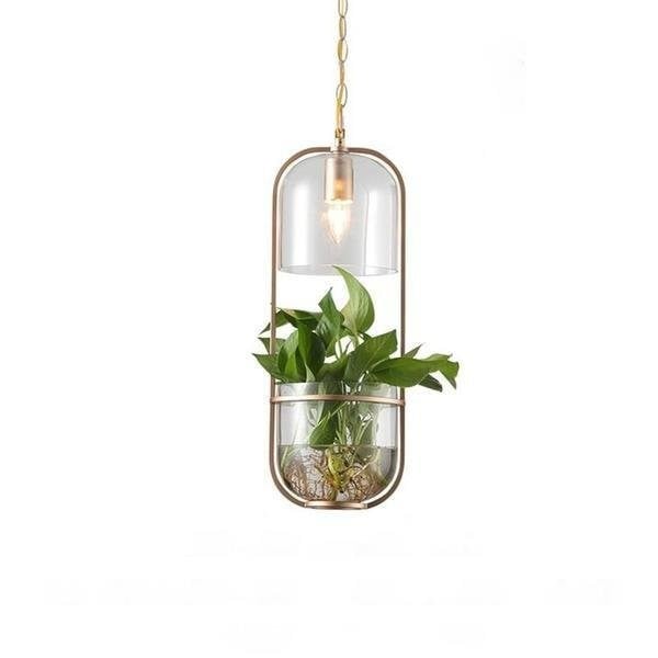 Water Plants Glass Pendant Light